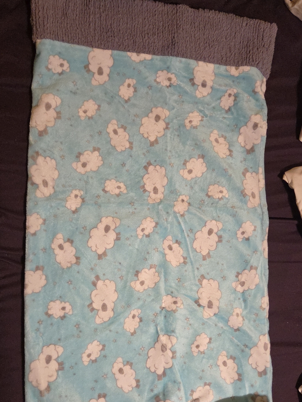 Plush Baby Pillowcase - Blue Cloud Print